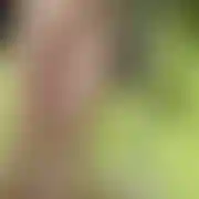 Sexyciutepair