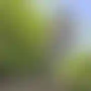 Humanpupy