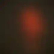Wed