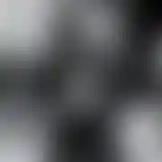 Whiteeel