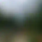 Damian1995dyskretny1