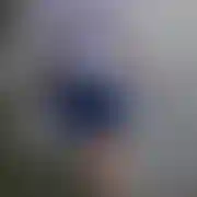 Paclo007