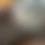Gorii