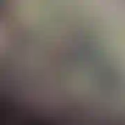 DominD - mann, 33 Jahre, Espoo