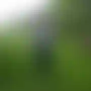 PiterElk