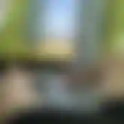 RealnyPT
