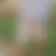 AdamReal