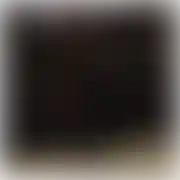 Morusic