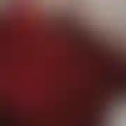 Gustavo22