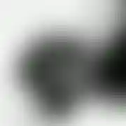 ParaMiS
