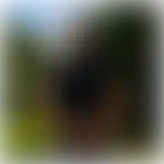 TheBearr