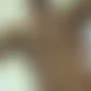 AmatorVidPL