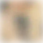 TrickySebek