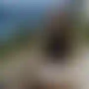 Mareksex699