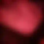 Oloh123