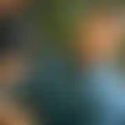 Amirreza1374 - мужчина, 31 лет, تهران