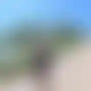 Najlepiejtuiteraz