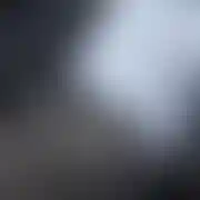 Normalny094