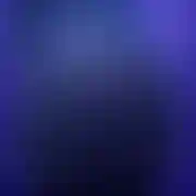 BiParaSex