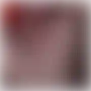 Dodo69