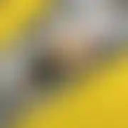 BeardManBull