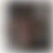 Seboni