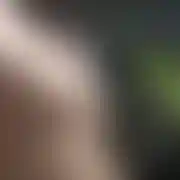 Gregoryvjetny