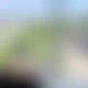 Songo91Kamil