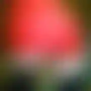 GoHighgirl - frau, 29 Jahre, Lublin