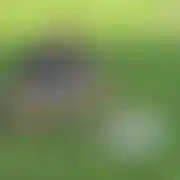 Greg67