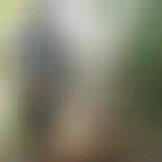 MrDobry