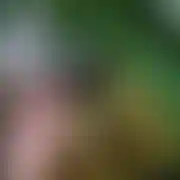 RealniDZA - couple (woman 41 years, man 42 years), Ząbkowice Śląskie