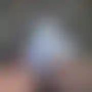 Rejent