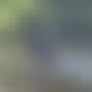 Cizaroooo - muž, 31 let, Łochów