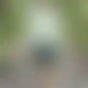 00000077