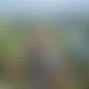 Przemeczek01