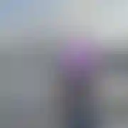 Zielonomijest