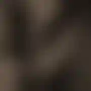 AceVentura69
