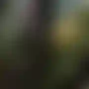Gwiazdka04