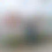 Spoxopole