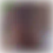 RotkiwZB