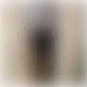 Pierro