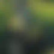 Andrzejhskd - mann, 47 Jahre, Bobowa