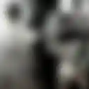 WustachEksplozja