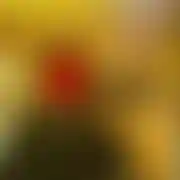 Mlodyhot66