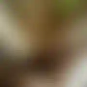 Fantazje2000 - paar (frau 28 Jahre, mann 42 Jahre), Olsztyn