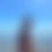 Robert77777