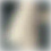 Konwencja69
