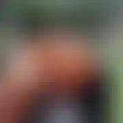 Adelajda50 - frau, 49 Jahre, Poznań