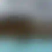 Draksido